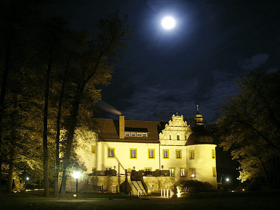 Schloss Sallgast (DRI)